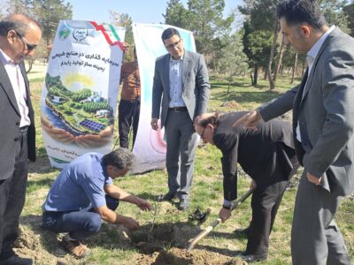 کاشت نهال توسط مدیر و کارکنان بیمه دی در خراسان رضوی در آستانه روز درختکاری